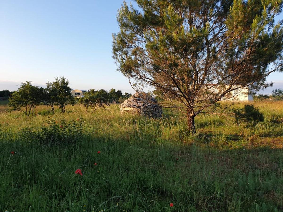 Villa Istra Divsici Exterior photo